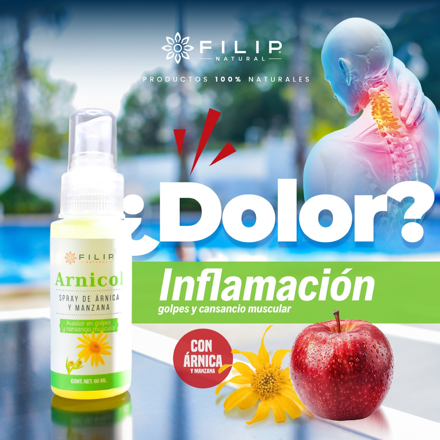 Arnicol, Spray Desinflamatorio Árnica Y Manzana, 60ml.