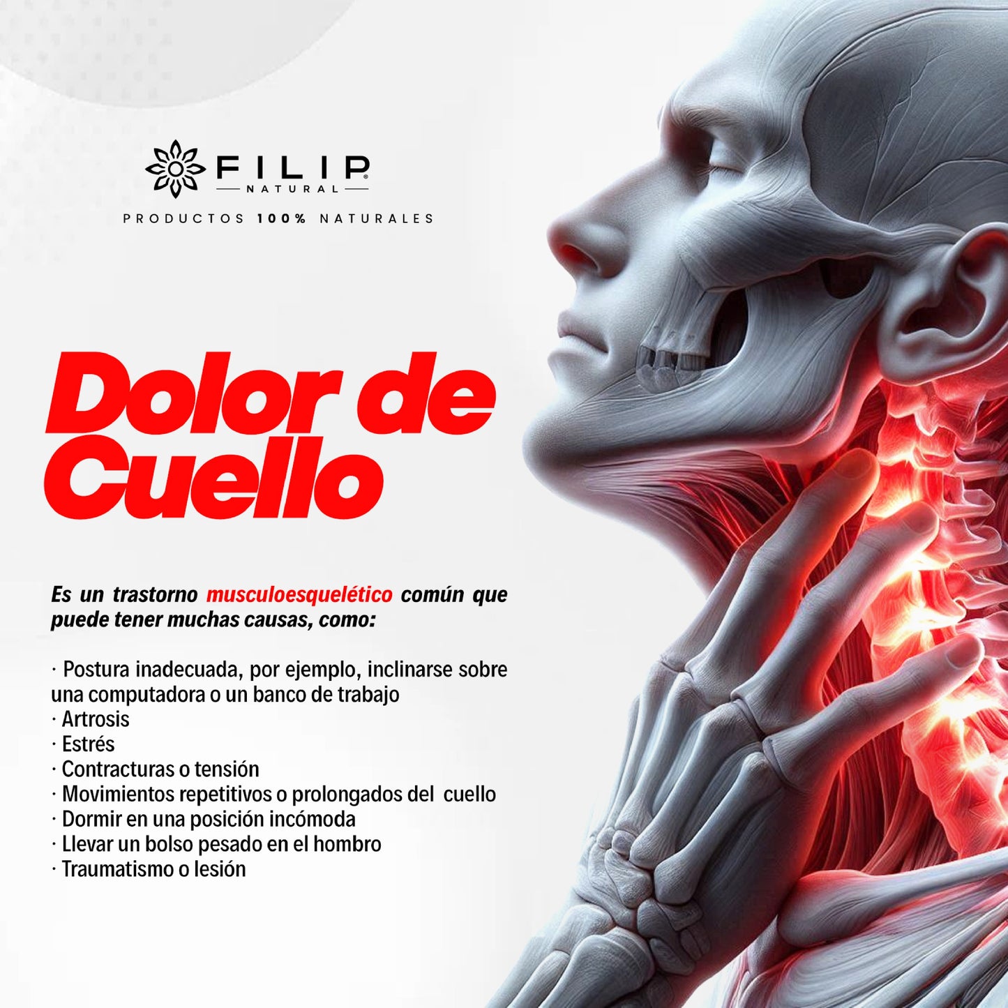 Arnicol, Spray Desinflamatorio Árnica Y Manzana, 60ml.