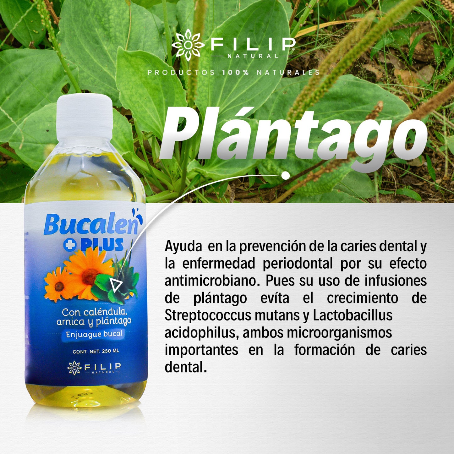 Bucalen Plus+ Enjuague Bucal Premium con Caléndula, 250ml.