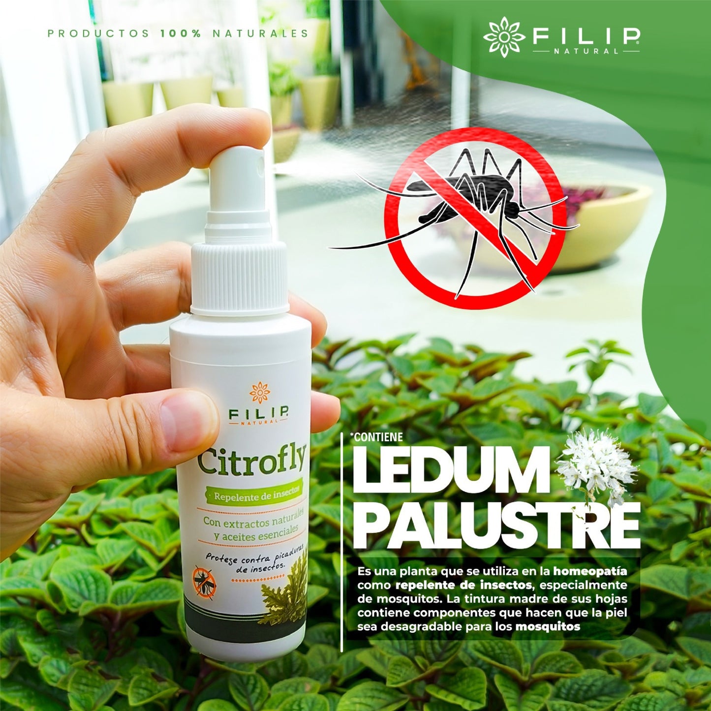 CitroFly Spray Repelente de Insectos, 120ml.