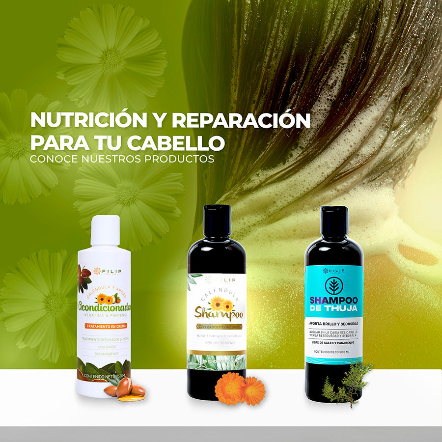 Shampoo de Caléndula, 500 ml.